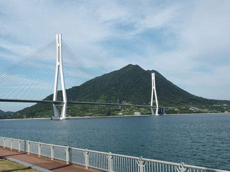 P9205185