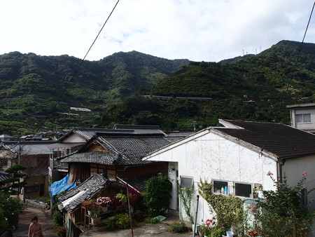 P9215356
