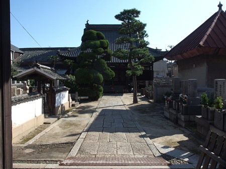 P9225760