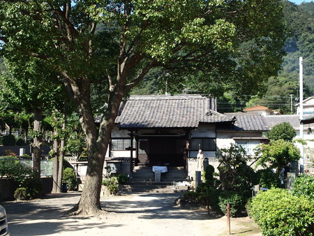 P9225782