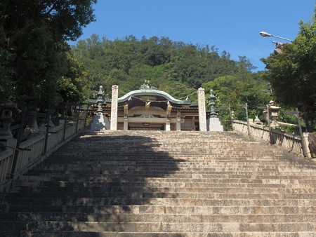 P9225795