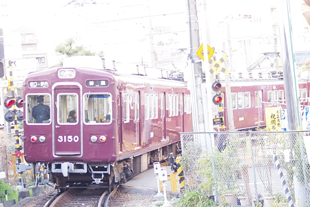 IMGP5417