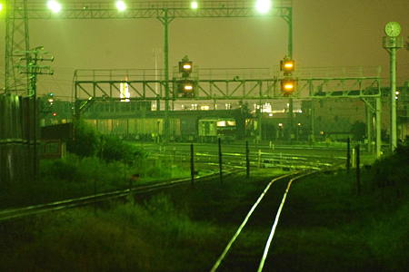IMGP2560