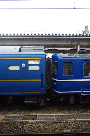 IMGP2842