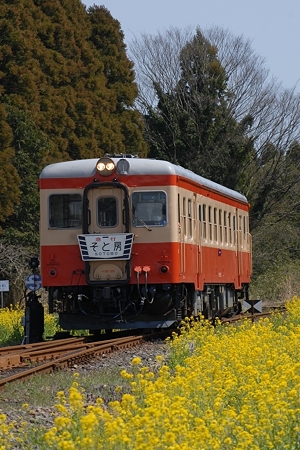 D20_4207