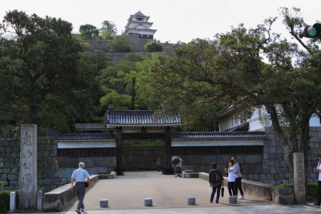 29. 丸亀城