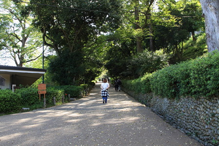 30. 丸亀城