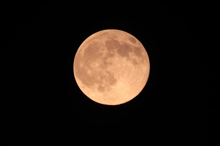 Blue Moon