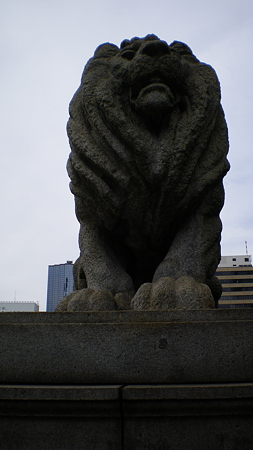 IMGP5185