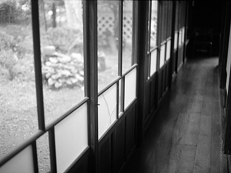 Image0269（MAMIYA M645）
