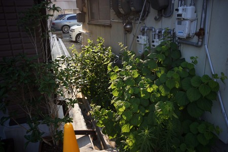 DSC01069