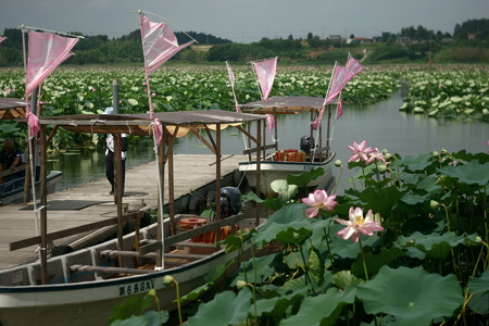 DSC01229