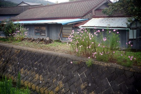 DSC01366