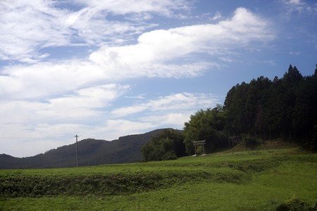DSC01375