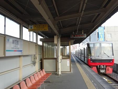 新顔