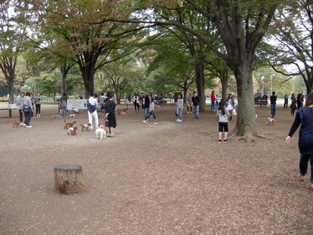 DSCN0978