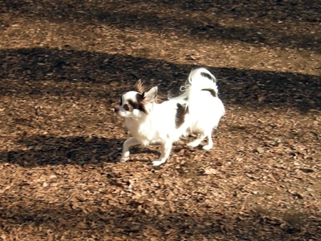 DSCN1465