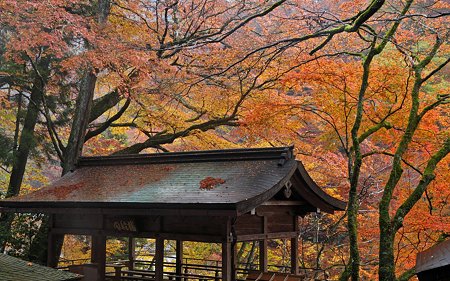 2011貴船神社・本宮20