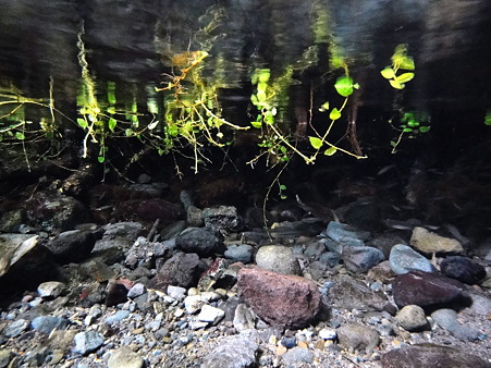 DSC02100
