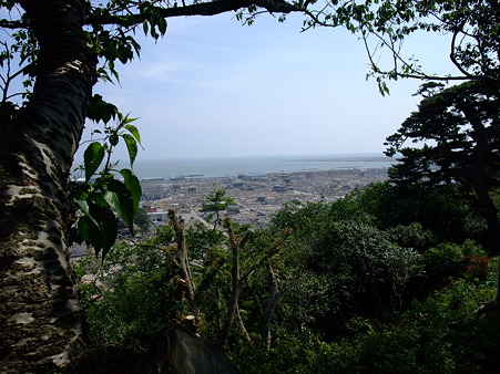 529石巻 015