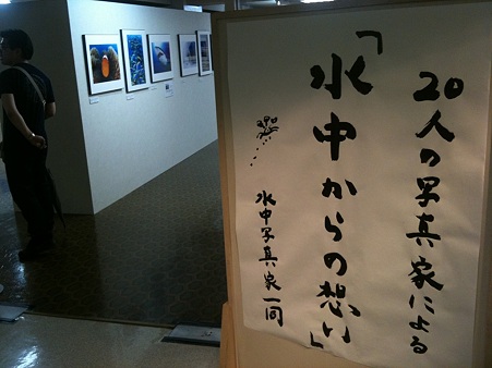著名な水中写真家さんの共同写真展も行われています