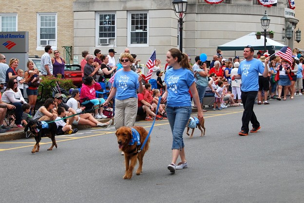 Parading Dogs 7-4-15