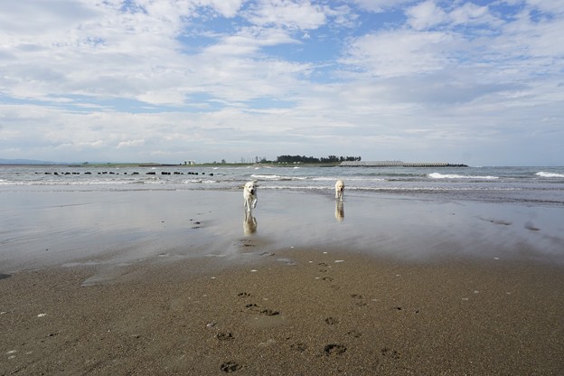 海の日