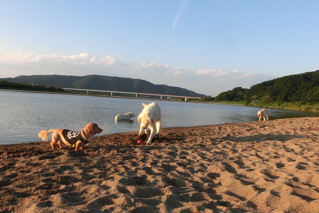 夕暮れ時