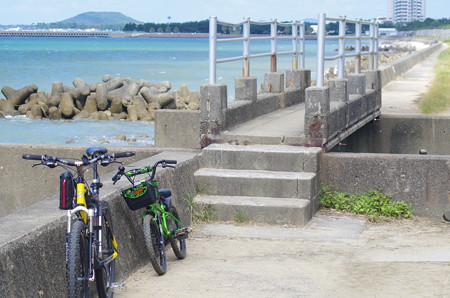 福間古賀海岸サイクリング
