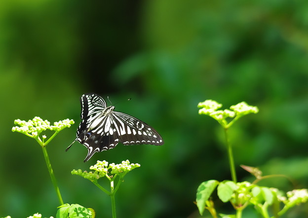 20150809p3