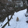 Photos: DSCF8592