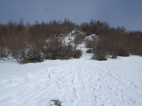 DSCF9033