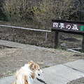 Photos: DSCF9138