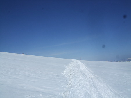 DSCF9698