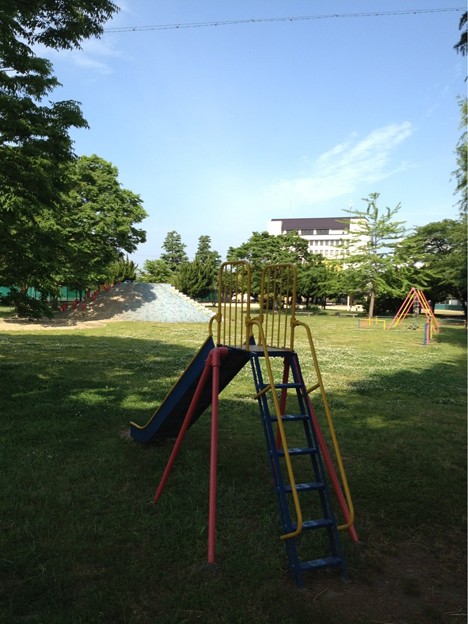 Photos: 今朝の古道公園（三重県津市南中央）