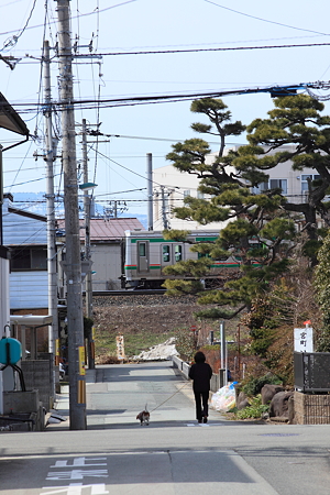 電車と散歩