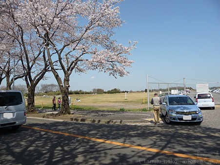120412-海軍道路 (19)