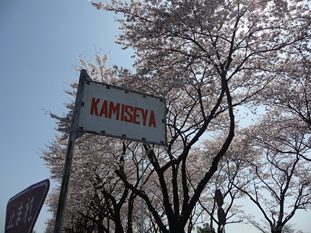 120412-海軍道路 (39)