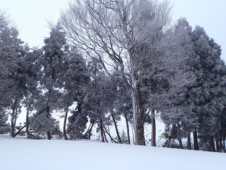 2012040125