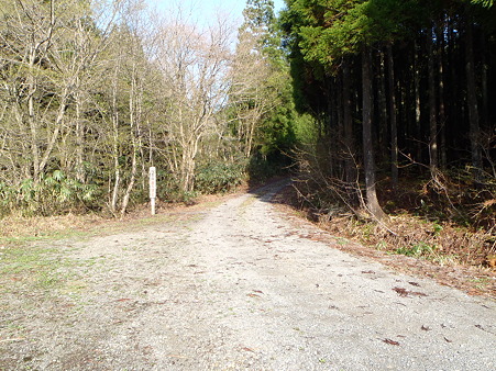 2012050502