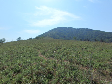 P6130061
