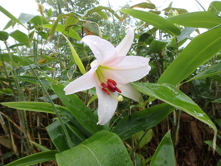 P6280039