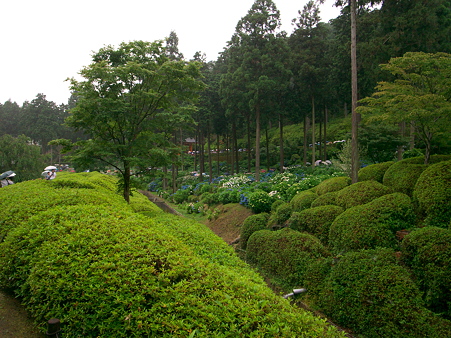三室戸寺