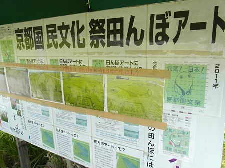 京都国文祭田んぼアート