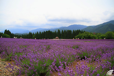 Blog_20150704_001