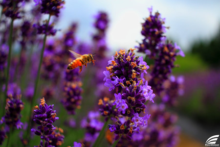 Blog_20150704_008