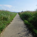 石川自転車道