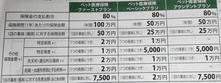 ペット保険