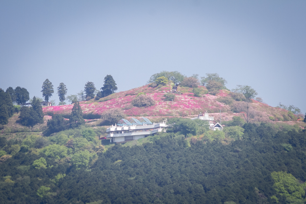 写真: IMG_7672