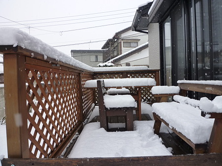 2012.02.29の雪
